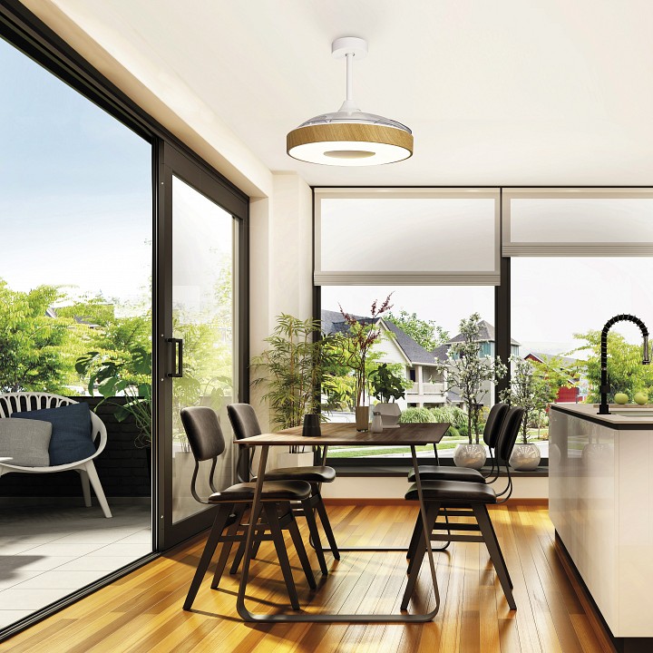 Светильник с вентилятором Mantra (люстры-вентиляторы) Coin 8217 - 2