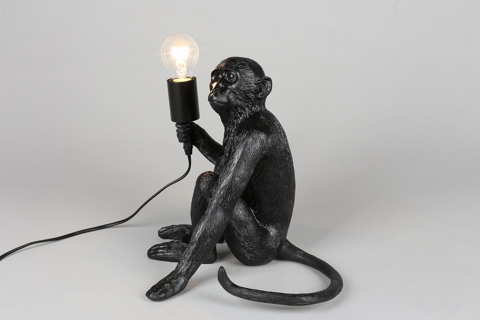 Зверь световой Aployt Magali APL.309.24.01 - 9