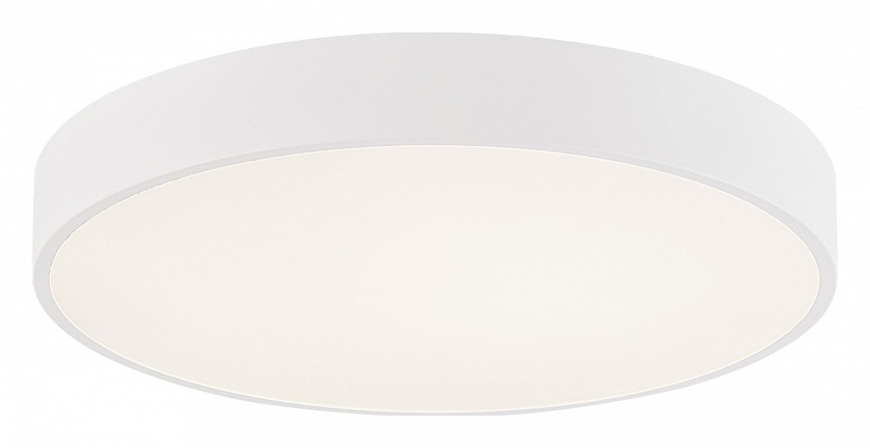 Накладной светильник Milosh Tendence 875 0875CL-60WT - 0