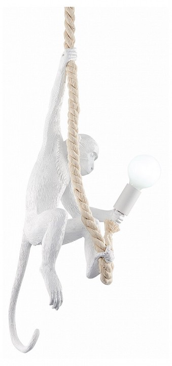 Подвесной светильник EVOLUCE Tenato SLE115103-01 - 0