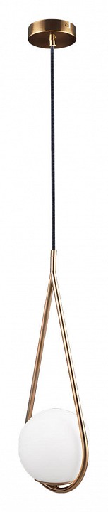 Подвесной светильник Loft IT Glob LOFT2599-A - 1