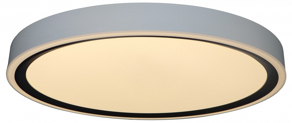 Накладной светильник Zortes BELLA ZRS.1201.07 - 2