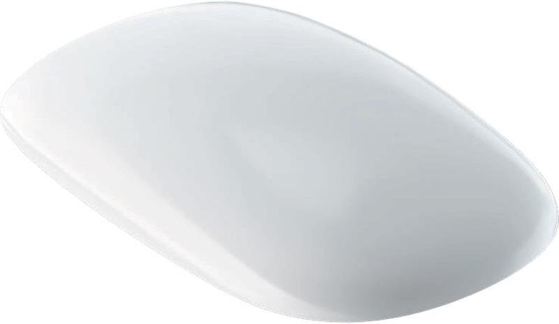 500.540.01.1 GEBERIT сидение для унитаза CITTERIO с микр. (белый) - 0