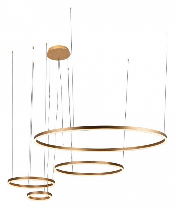 Подвесной светодиодный светильник Loft IT Ring 10017/4L - 0