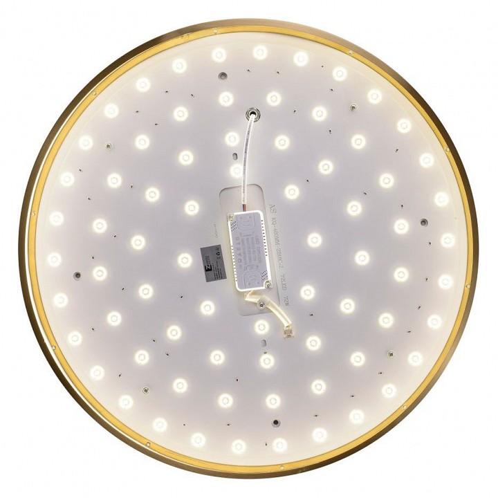 Накладной светильник Zortes Monna ZRS.1209.12 - 2