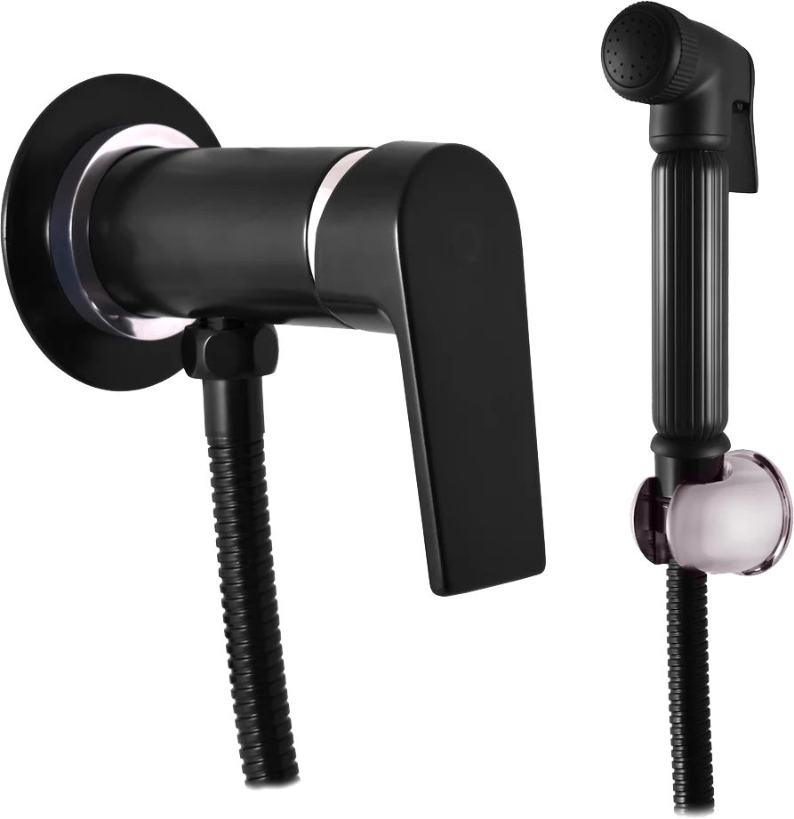 Гигиенический душ Rav Slezak Colorado черный матовый - хром CO147/1CMATC - 0