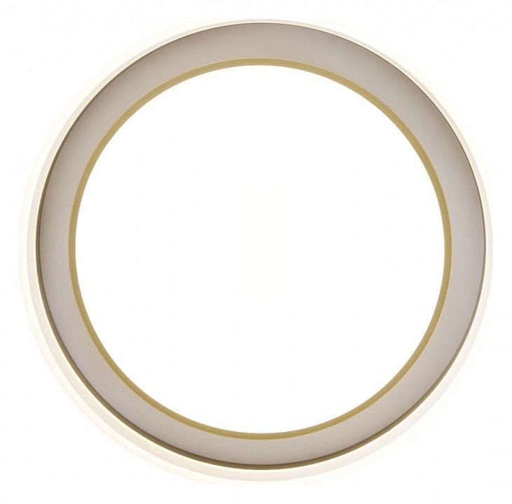 Накладной светильник Zortes Adel ZRS.1200.01 - 1