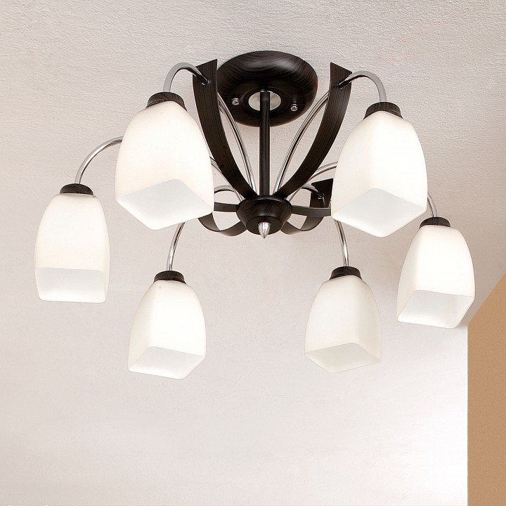 Потолочная люстра Citilux Крокус CL128161 - 1