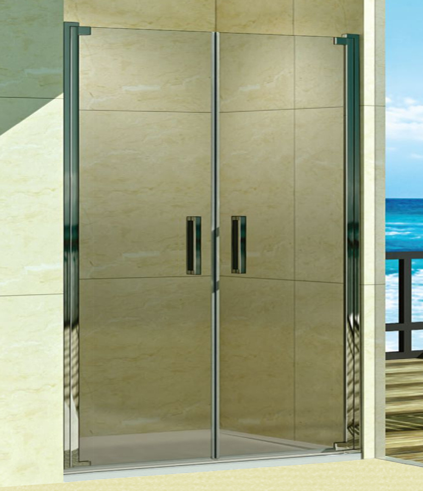 Душевая дверь в нишу Weltwasser WW600 600K2-120 120х185 хром  10000002736 - 1