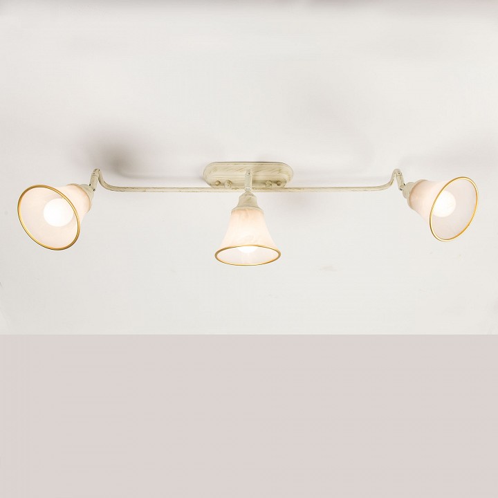 Спот Citilux Прованс CL511534 - 8