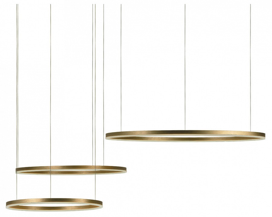 Подвесной светодиодный светильник Loft IT Ring 10017/3M - 3