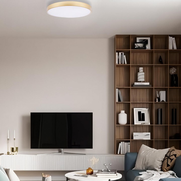 Накладной светильник Loft it Flims 10228/B - 6