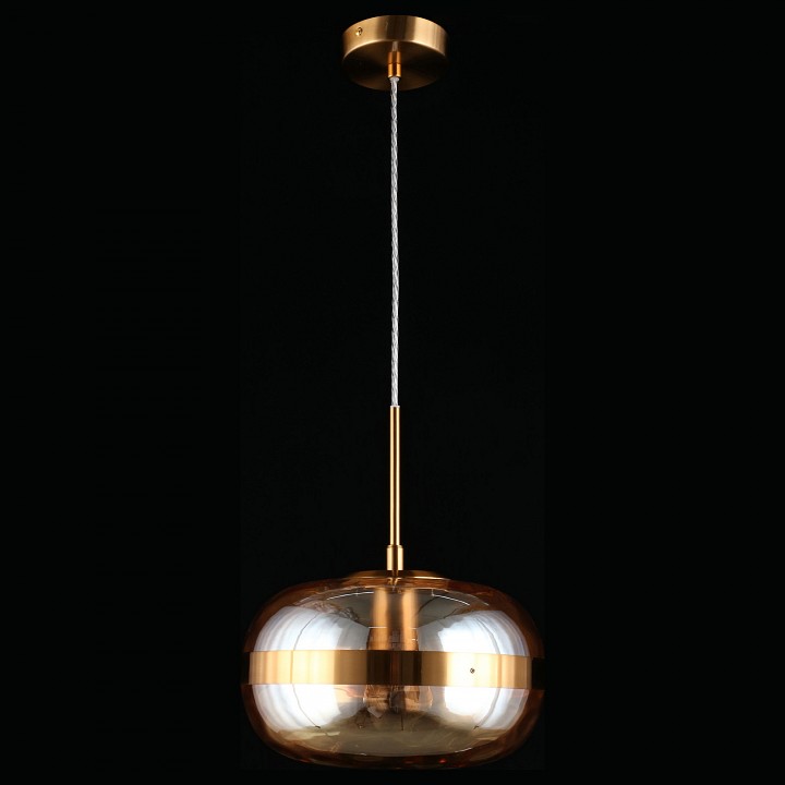 Подвесной светильник Aployt Gabriela APL.305.16.01 - 2