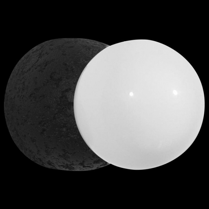 Накладной светильник Loft it Quill 10109W Dark grey - 3