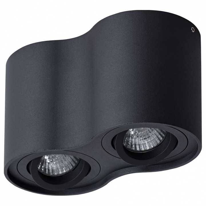 Потолочный светильник Arte Lamp Falcon A5645PL-2BK - 0