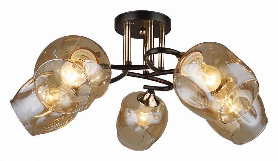 Потолочная люстра Hiper Artex H209-5 - 0