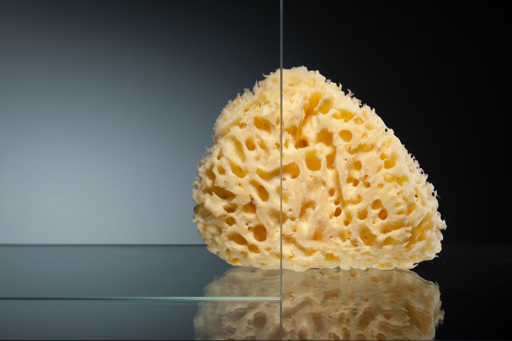 Душевой уголок Vegas Glass AFA-F 110*100 07 01 R профиль матовый хром, стекло прозрачное - 2