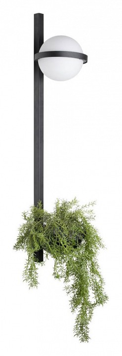 Настенный светильник LOFT IT Jardin 10121W/B - 2