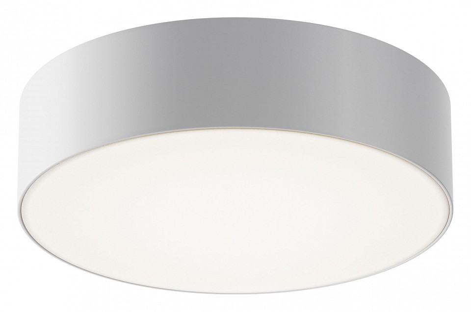 Накладной светильник Maytoni Zon IP O431CL-L30W4K - 0