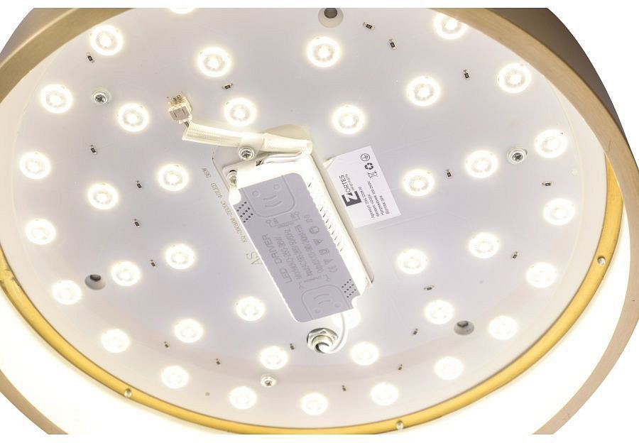 Накладной светильник Zortes Monna ZRS.1209.10 - 3