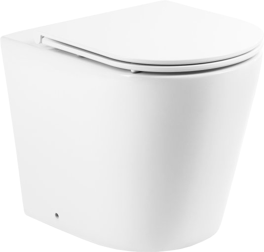 Чаша для унитаза приставного BelBagno Flay-r BB1003CBR - 1