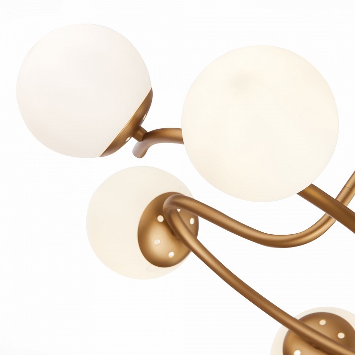 Люстра на штанге EVOLUCE Calabria SLE220602-06 - 1