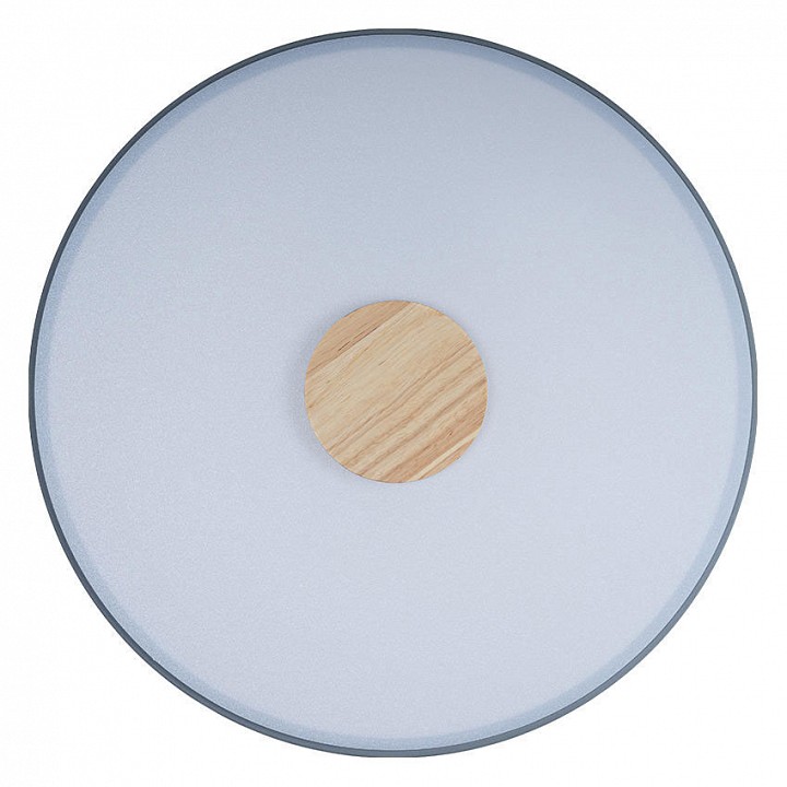 Накладной светильник Loft it Axel 2 10003/24 Grey - 1