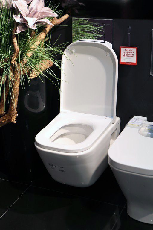 Унитаз подвесной Roca Gap 346477000 - 6