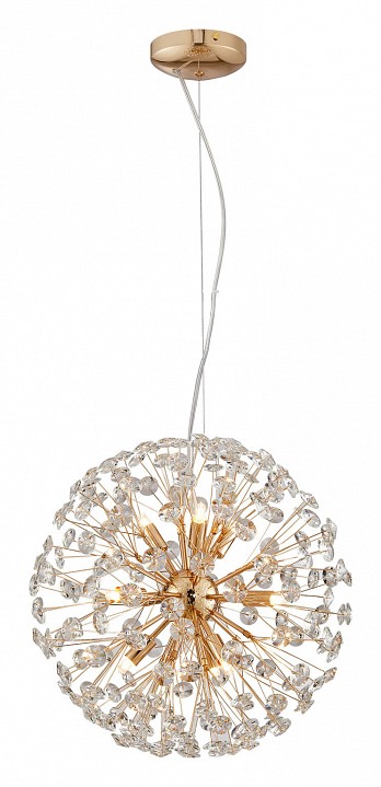 Подвесная люстра Lussole LSP-846 LSP-8461 - 2