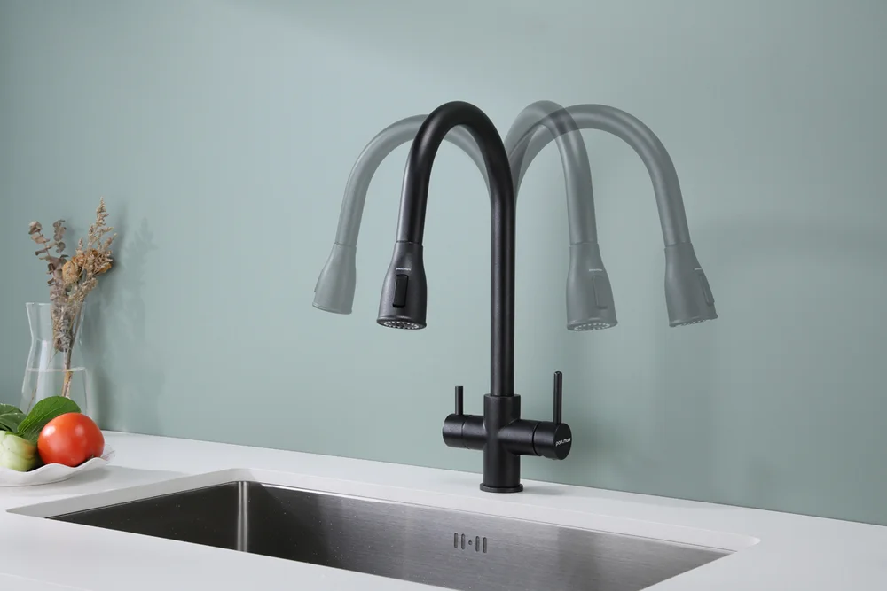 Смеситель для кухни Paulmark Lange черный матовый La214212-418 - 4