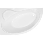 Акриловая ванна Royal bath Alpine 170x100 см (RB 819102 L) RB819102L