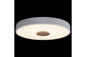 Накладной светильник Loft it Axel 2 10003/24 White - 3