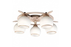 Потолочная люстра Omnilux OML-50517-05