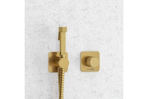 A8251.285.237.213 Встраиваемый комплект для биде со шлангом