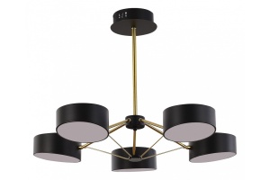 Люстра на штанге EVOLUCE Valle SLE6005-402-05