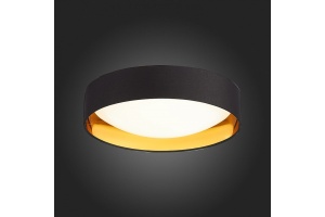 Накладной светильник EVOLUCE Orbio SLE201102-01 - 2