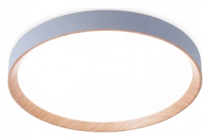 Накладной светильник Ambrella FZ FZ1322