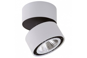 Потолочный светодиодный светильник Lightstar Forte Muro 214830