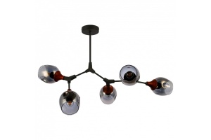 Люстра на штанге EVOLUCE Ciotolla SLE113402-05