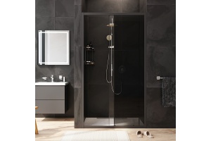 Душевая дверь в нишу AM.PM Gem Solo W90G-110-1-195BG 110 см - 2