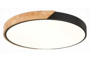 Накладной светильник EVOLUCE Festa SLE200942-01