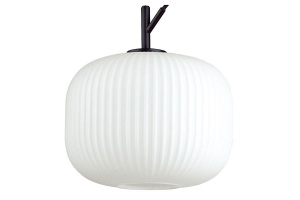 Подвесной светильник Odeon Light Pendant Roofi 4753/1