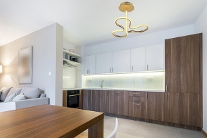 Светильник на штанге Arti Lampadari Angelo Angelo L 1.2.35.03 G - 2