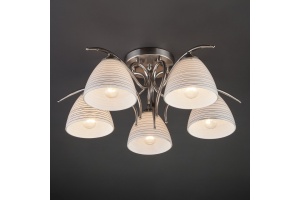 Потолочная люстра Eurosvet Megan 30121/5 сатин-никель - 2