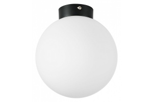 Накладной светильник Lightstar Globo 812027