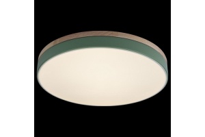 Накладной светильник Loft it Axel 10001/36 Green - 3