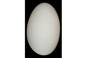 Настенный светильник Lightstar Sferetta 801600 - 2