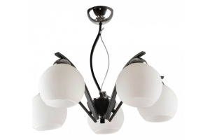 Потолочная люстра Hiper Anna H015-5