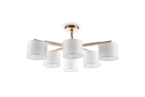 Люстра на штанге Freya Pipe FR5386CL-06G