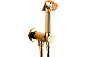 Гигиенический душ Bossini Nikita Mixer Set со смесителем золото E37008B